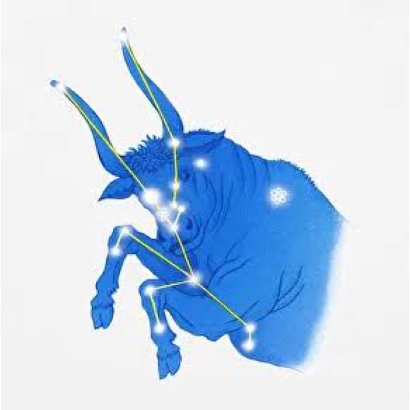 bluetaurus4life